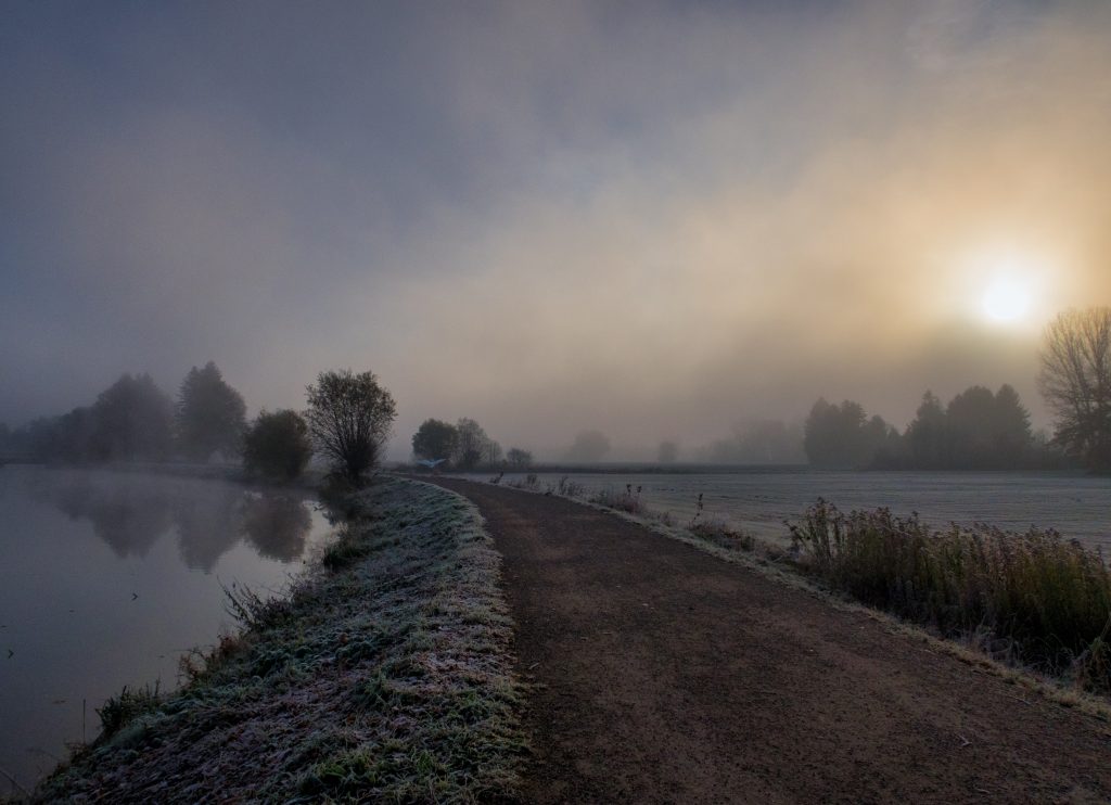 Bilder der Ausstellung "Landschaften"