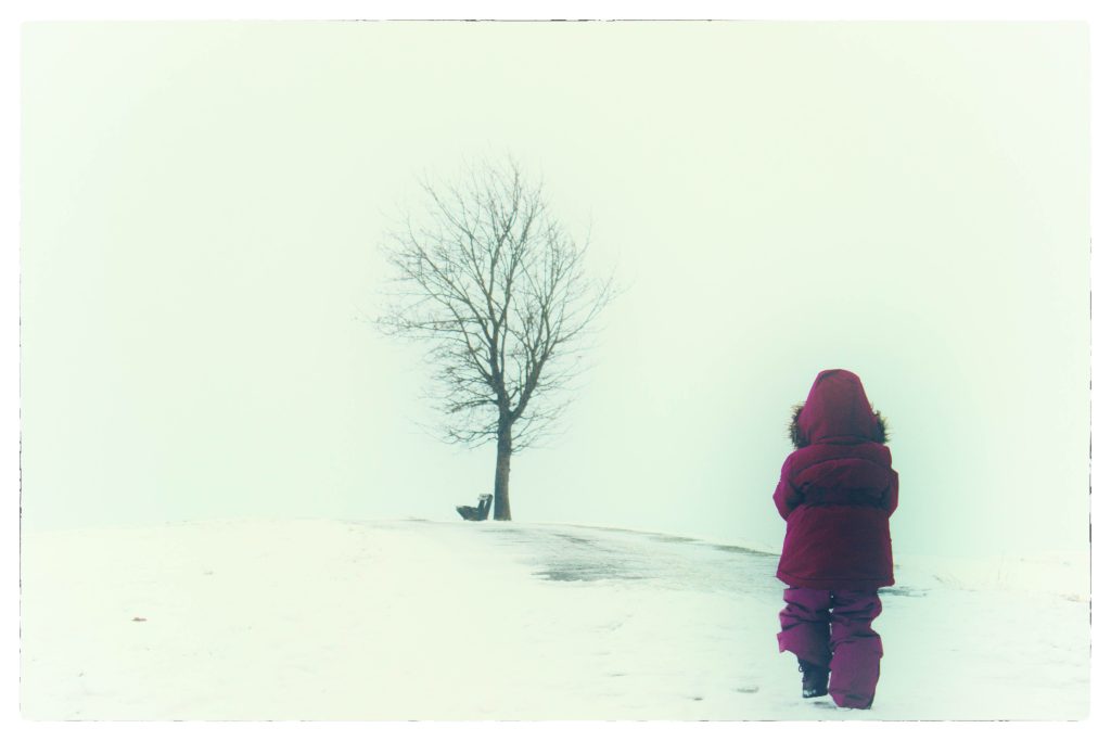Foto "Winter", 2024